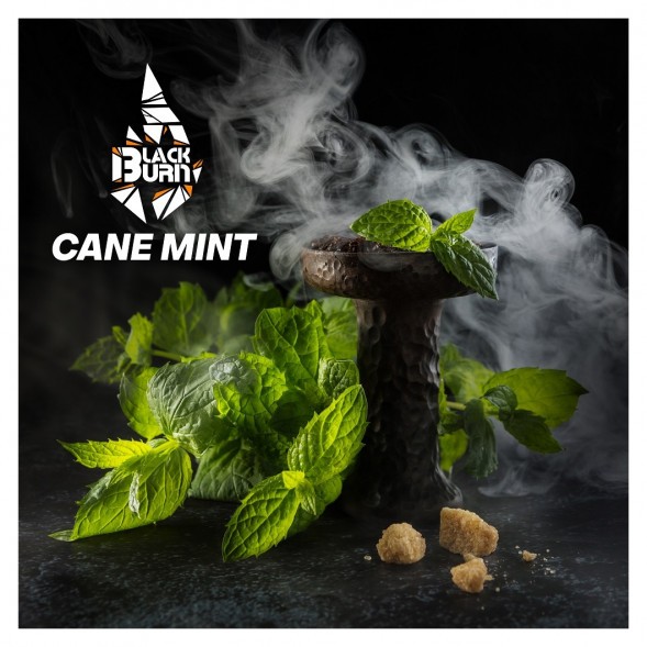 Табак BlackBurn - Cane Mint (Тростниковая Мята, 25 грамм) купить в Томске