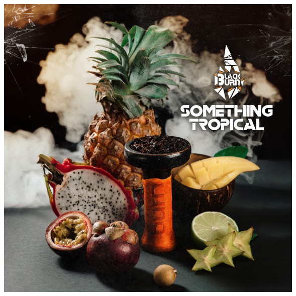 Табак BlackBurn - Something Tropical (Что-то Тропическое, 25 грамм) купить в Томске