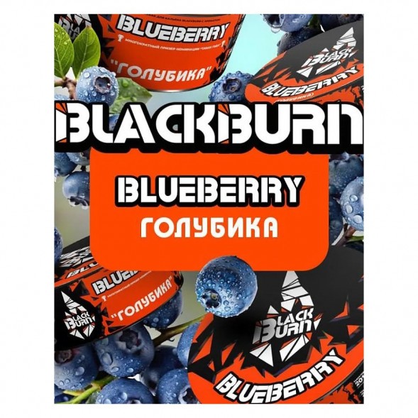 Табак BlackBurn - Blueberry (Голубика, 25 грамм) купить в Томске
