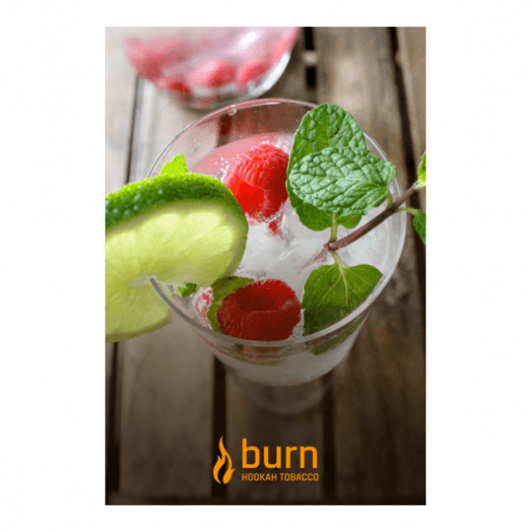 Табак Burn - Kamikaze (Лайм Малина Лед, 100 грамм) купить в Томске