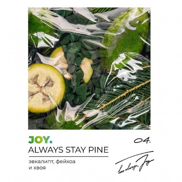 Табак Joy - Always Stay Pine (Эвкалипт, Фейхоа и Хвоя, 200 грамм) купить в Томске