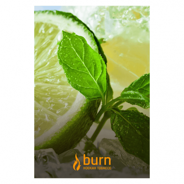 Табак Burn - Lemon Mint (Лимон с Мятой, 100 грамм) купить в Томске