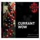 Табак Jent - Currant WOW (Кислая Смородина, 200 грамм) купить в Томске