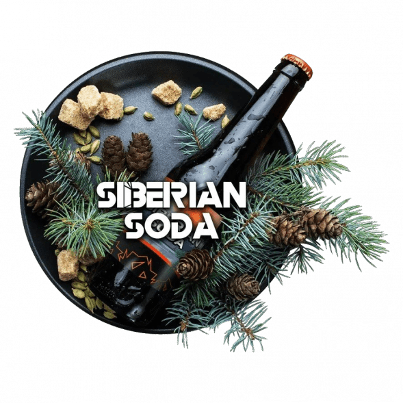 Табак BlackBurn - Siberian Soda (Лимонад Байкал, 200 грамм) купить в Томске