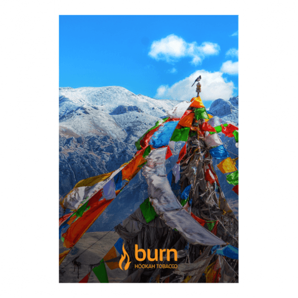 Табак Burn - Tibet (Индийские Специи, 100 грамм) купить в Томске