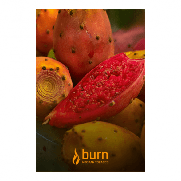 Табак Burn - Juicy Apricot (Спелый Абрикос, 100 грамм) купить в Томске