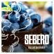 Табак Sebero - Blueberry (Голубика, 100 грамм) купить в Томске