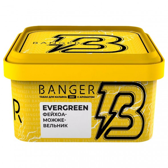 Табак Banger - Evergreen (Фейхоа Можжевельник, 200 грамм) купить в Томске