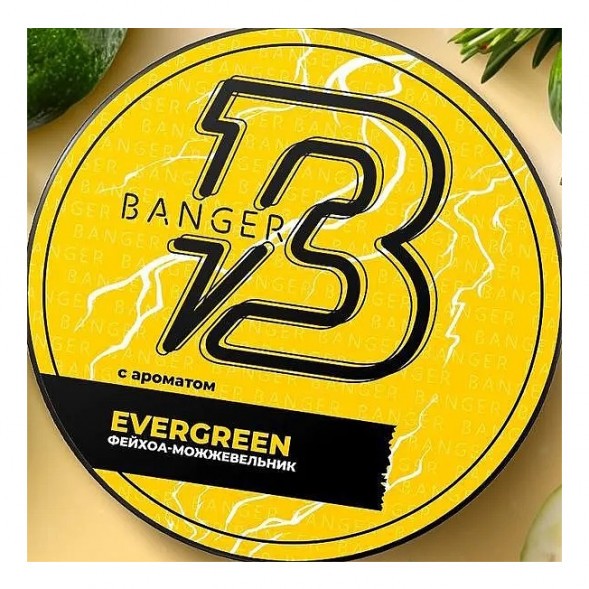 Табак Banger - Evergreen (Фейхоа Можжевельник, 25 грамм) купить в Томске