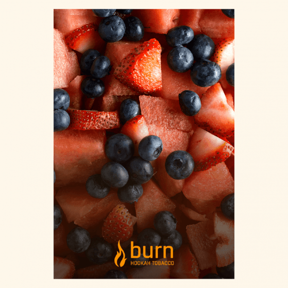 Табак Burn - Berried Treasure (Ягодный Микс, 25 грамм) купить в Томске