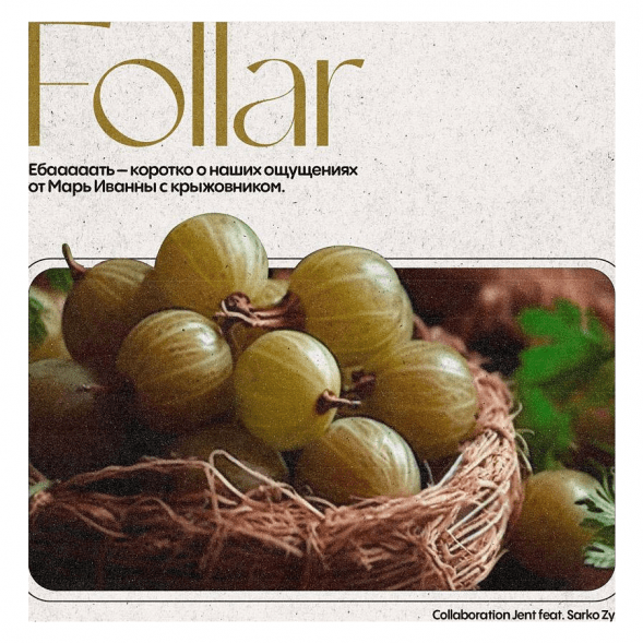 Табак Jent - Follar (Марь Иванна с Крыжовником, 200 грамм) купить в Томске