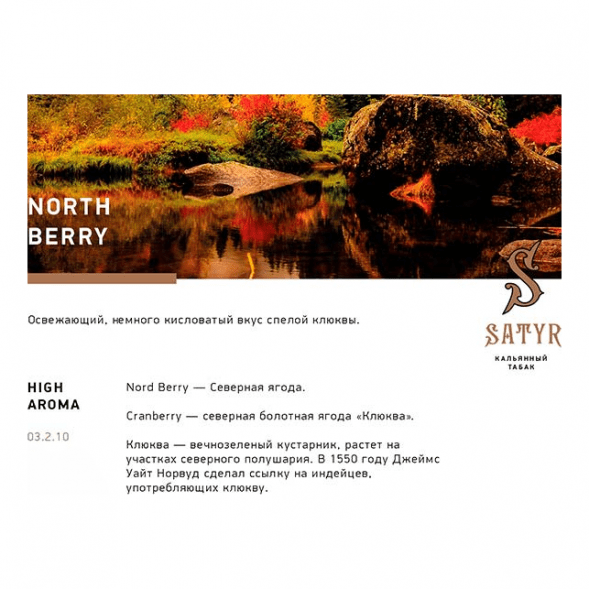 Табак Satyr - North Berry (Северная Ягода, 100 грамм) купить в Томске