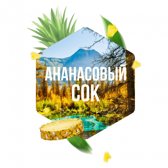 Табак Сарма - Ананасовый Сок (100 грамм) купить в Томске