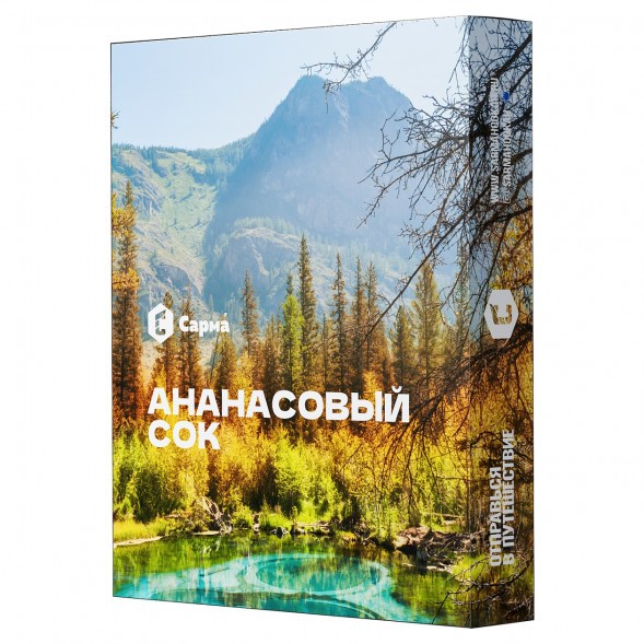 Табак Сарма - Ананасовый Сок (100 грамм) купить в Томске