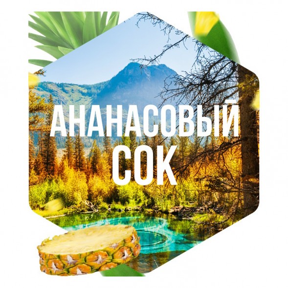 Табак Сарма - Ананасовый Сок (25 грамм) купить в Томске