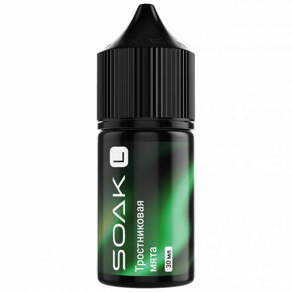 Жидкость SOAK L30 - Cane Mint (Тростниковая Мята, 30 мл, 2 мг) купить в Томске
