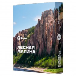 Табак Сарма - Лесная Малина (100 грамм)