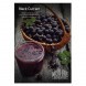 Табак Must Have - Black Currant (Черная Смородина, 25 грамм) купить в Томске