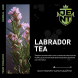 Табак Jent - Labrador Tea (Багульник и Саган Дайля, 200 грамм) купить в Томске
