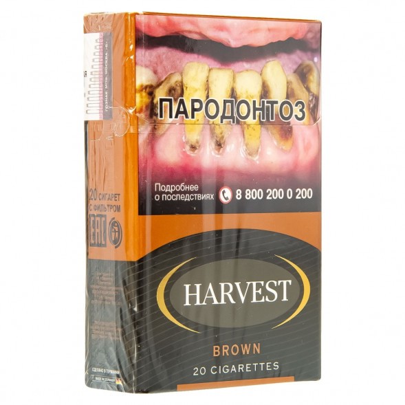 Сигареты Harvest - Brown King Size (блок 10 пачек) купить в Томске