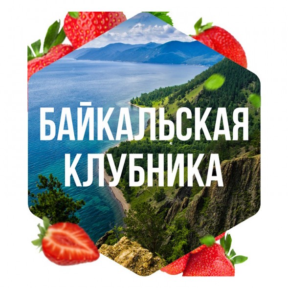 Табак Сарма - Байкальская Клубника (25 грамм) купить в Томске