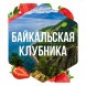 Табак Сарма - Байкальская Клубника (200 грамм) купить в Томске