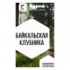 Табак Сарма - Байкальская Клубника (200 грамм) купить в Томске