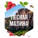 Табак Сарма - Лесная Малина (25 грамм) купить в Томске