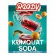 Табак Ready - №3 Kumquat Soda (Газировка, Кумкват, 25 грамм) купить в Томске