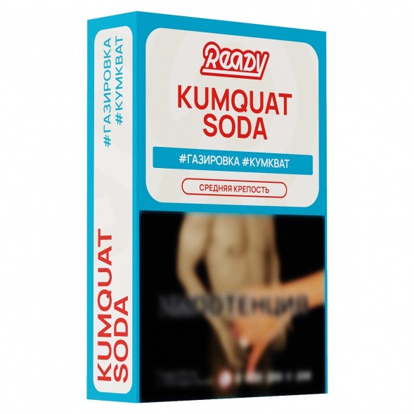Табак Ready - №3 Kumquat Soda (Газировка, Кумкват, 25 грамм) купить в Томске