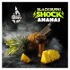 Табак BlackBurn - Ananas Shock (Кислый Ананас, 25 грамм) купить в Томске