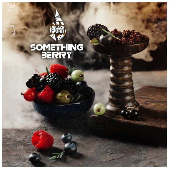 Табак BlackBurn - Something Berry (Что-то Ягодное, 25 грамм) купить в Томске